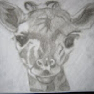 Meet your Posher, Audra